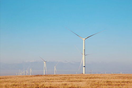 風力發電有危害 為啥歐美忙著大面積拆除,中國卻還要大力發展